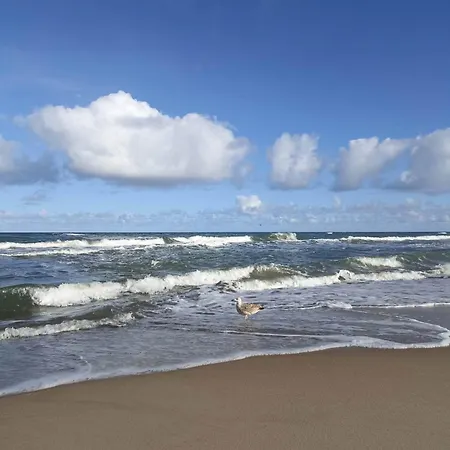 Anielski Zakatek J&r Nad Baltykiem Delux Z Balia Ogrodowa Z Jacuzzi I Klimatyzacja