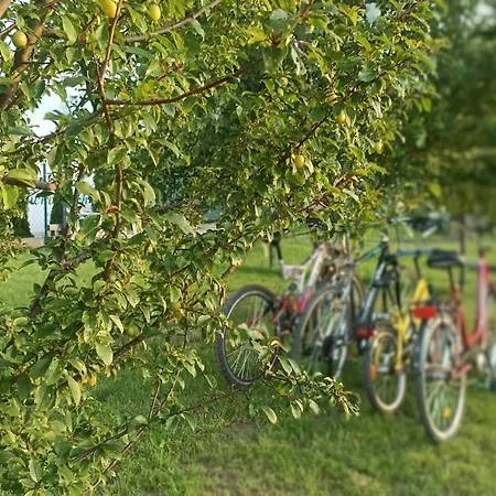Anielski Zakatek J&r Nad Baltykiem Delux Z Balia Ogrodowa Z Jacuzzi I Klimatyzacja Mielenko