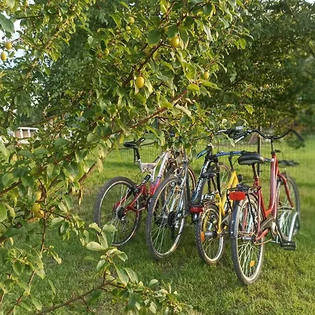 Anielski Zakatek J&r Nad Baltykiem Delux Z Balia Ogrodowa Z Jacuzzi I Klimatyzacja